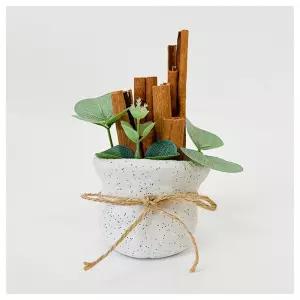 창의활동- 데코 찰흙 계피 화분 만들기 1인용