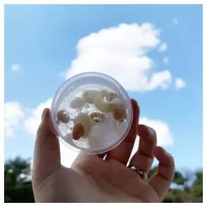 수업교구- 오독오독 넛츠 슬라임 만들기 1인 개별패키지