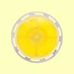 샤워기 비타스파 비타퍼퓸 레몬 헤드리필