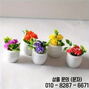 5pcs 미니 꽃 냄비 장식 인형 집 활기찬 홈 자동차 휴일 선물 파티 호의