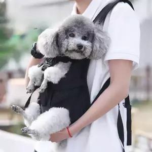 강아지포대기 애견 배낭 멜빵 앞가방 강아지 아기띠 소형견 대형견 고양이가방 운반