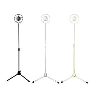 마이크 소품 보컬 가라오케 C스타일 촬영소품 타입A 빈티지 코인노래방 사진참조 다이나믹