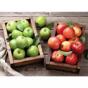 퍼즐1000 1000피스퍼즐 풋사과와 빨간사과 (미니)