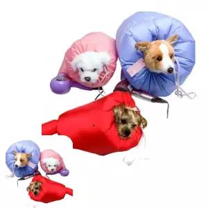 굿테라 반려견 드라이 에센스 향수 자켓