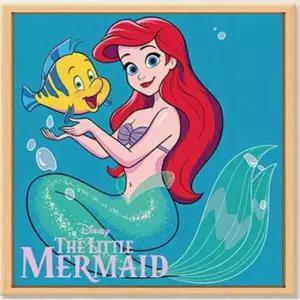 [문구/오피스] DIY 페인팅 디즈니 프린세스 에리얼과 플라운더 40X40