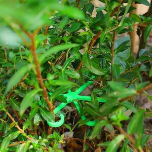 플라스틱 정원 식물 고정 클립 재사용 호환 가능한 리유저블 줄기 접이식 실내 스탠드 프레임 지지대 가지