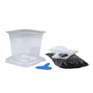 1인키트 뿌리관찰 투명화분 식물한살이 강남콩 키우기