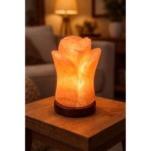 네이처부스트 히말라야 핑크 소금 모양 베이스 선물 핸드 있는 U2013 나무 데코가 바위 천연 램프 이상적인 카빙 크리스탈
