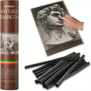 Trzzyan 25개의 PCS 버드나무 스틱 예술가 초보자 학생에게 이상적이며 스케치 드로잉 음영 처리 및 미술에