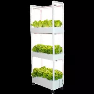 식물재배기 3단 키우기 실내 수경 재배기 가정용 야채 채소 스마트팜 상추 재배