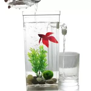 어항 물멍 자동 청소 금붕어 구피 해수어 베타 키우기 수족관