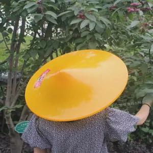 모자 버킷 삿갓 농사 우산 낚시 GG 대나무 버킷햇 자외선