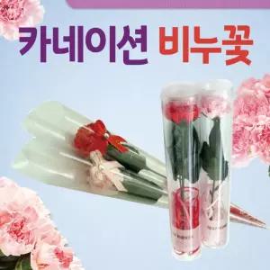 카네이션  카네이션꽃/카네이션꽃비누/장미꽃/장미/어버이날/스승의날/비누꽃          RAM
