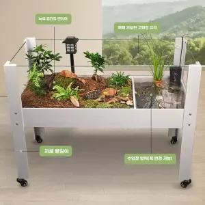 유리 거북이 수족관 조명 투명 물고기 투명한 조경 오픈형