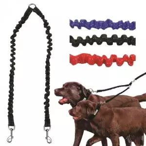 강아지 산책 리드줄 반려동물 안전벨트 목줄 교육용