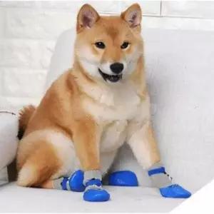 [골드스마일]강아지 신발 4개 세트 애견 양말 방수 미끄럼방지