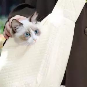 크로스백 만두백 패션 산책 가방 반려 동물 외출용