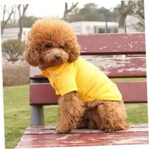 [반려] 애견의류 애견옷 반팔 여름 팝컬러 강아지티셔츠 유치원 M