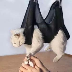 강아지셀프미용 강아지 미용 발톱 거치대 해먹 (셀프 고양이거치대 ) 강아지미용해먹