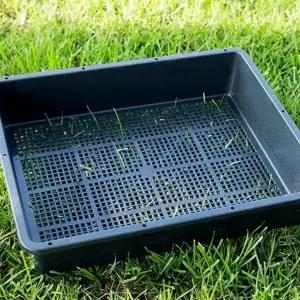 [셀러에이드]모종판 식물 채소 파종 트레이 4p 가정용 키우기 세트