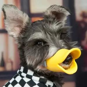 입마개 소형견 실리콘 오리입 강아지 짖음방지 마스크 산책