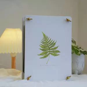 압화 프레스 판 꽃 재료 플라워 소형 1x15cm 키트 건조 01 팩