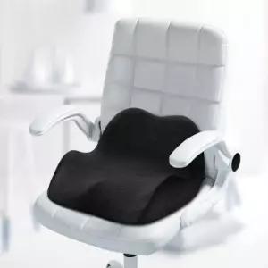 바른자세 허리지지대 학생 직장인 메모리폼 방석