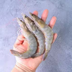 국내산 급냉 흰다리새우 1kg (kg당 40미 내외)