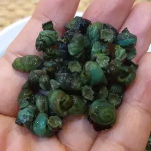 급냉 영월 깐 다슬기 300g 영월 다슬기 살 영월 올갱이 다슬기 냉동 다슬기 고디 강원도다슬기 민물다슬기