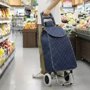 쇼핑카트 장바구니 접이식 바퀴달린 카트 2종