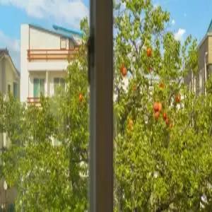 [강원] 고성 감나무 펜션(강원펜션/고성펜션)