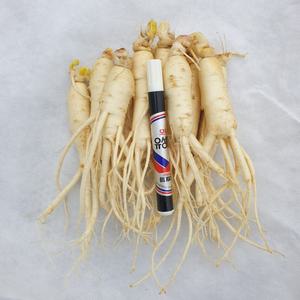 금산인삼 5년근 6년근 원수삼 500g 10뿌리 내외 홍삼용, 정과용, 인삼주용