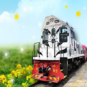 [ITX마음-당일]NEW*중식/음료제공*[협곡열차②] 분천산타마을+백두대간수목원