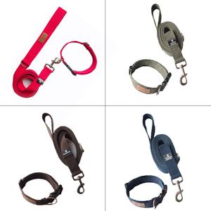 블루도그 2M~5M 중 대형견리드줄+목줄 세트 줄폭30mm 반려견줄 강아지리드줄 강아지목줄 산책 외출시필수