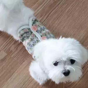 ONM 플라워 강아지 패턴 귀여운 니트 실내 외출