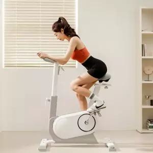 멜킨 ERG 실내자전거 프리휠 사이클럭스 즈위프트 재활 미니 가정용 홈사이클 실내바이크