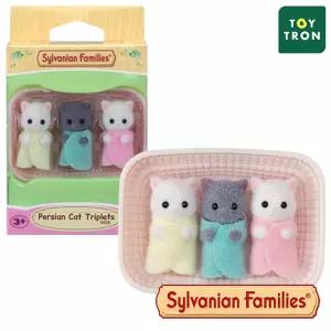 5458 실바니안 페르시안 고양이 세쌍둥이