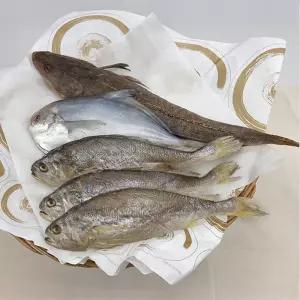 제수용 반건조 생선세트 1호(5미) 부세조기 병어 장대 제사 추석 설 명절