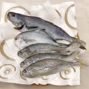 제수용 반건조 생선세트 2호(5미) 부세조기 병어 민어 제사 추석 설 명절
