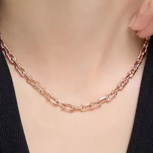 14K 에르노 체인 목걸이(GoldPlated)_LJ5322BRN