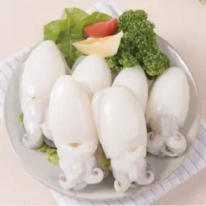 냉동 갑오징어 20 40 800g