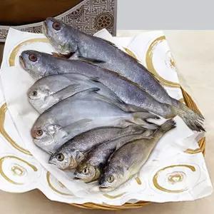 제수용 반건조 생선세트 5호(7미) 부세조기 병어 민어 제사 추석 설 명절