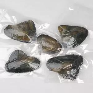 진주캐기 이색 체험 키트 진주조개 천연 보석 목걸이