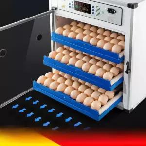 병아리육추기 병아리 계란 달걀 곰 부화기 닭 알