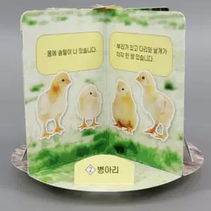 초등 동물관찰 닭의 회전식 한살이 만들기 4세트/ 자연학습 과학놀이 교육완구 유치원