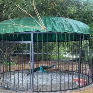 초대형 새장 앵무새 케이지 놀이터 날림장 사육장 다람쥐 하우스 철장 자이언트 대형 철제 새장 야외 공원 장식용 앵무새 이동장 조립식 케이지