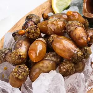 진동 미더덕 500g 미더덕회 오만둥이