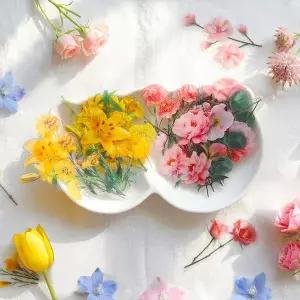 [도토리클래스]봄꽃 스티커 2종