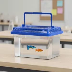 관찰통 미니 곤충 어항 채집통 물고기 열대어 수족관 사육통 키우기 달팽이 (소형 3개)