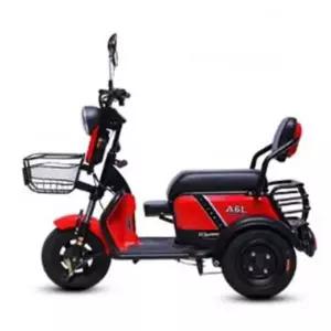 전기세발 자전거 어르신 배달 스쿠터 등하원 성인